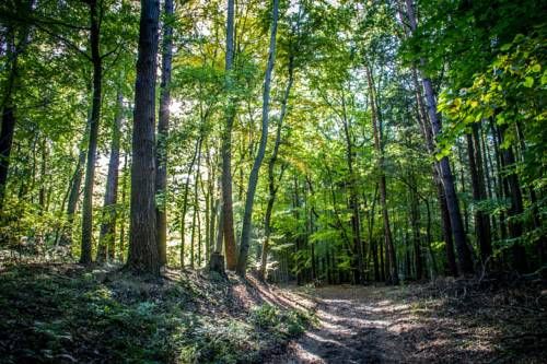 Outdoor Pictures 20
