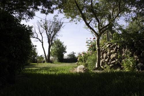 Outdoor Pictures 24