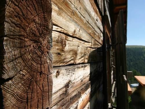 Outdoor Pictures 10