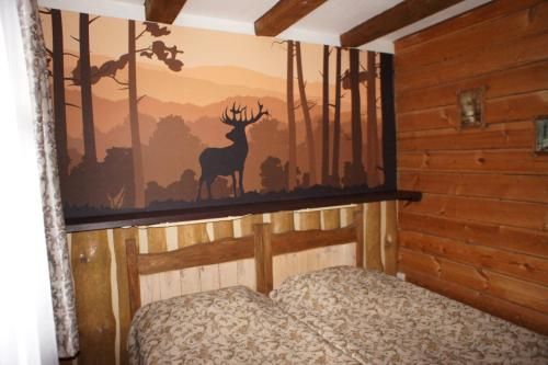 Outdoor Pictures 7