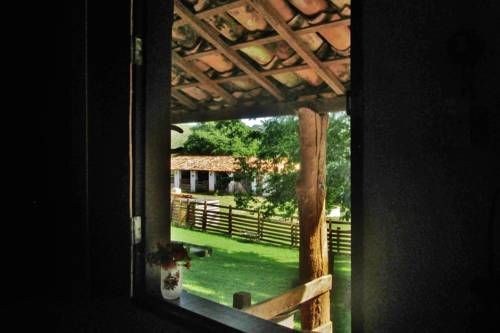 Outdoor Pictures 22