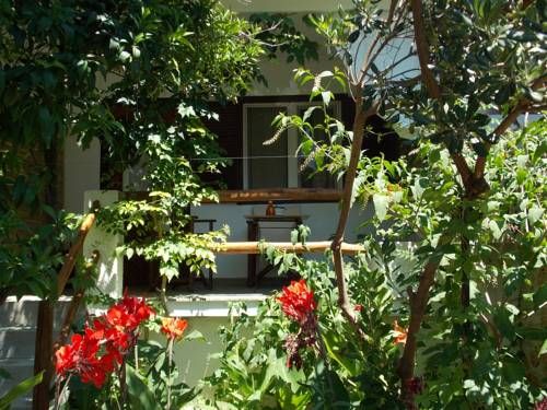 Outdoor Pictures 21