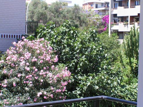 Outdoor Pictures 24
