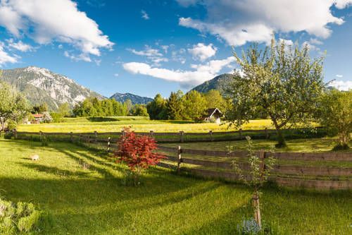 Outdoor Pictures 19