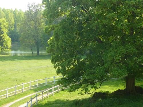 Outdoor Pictures 20