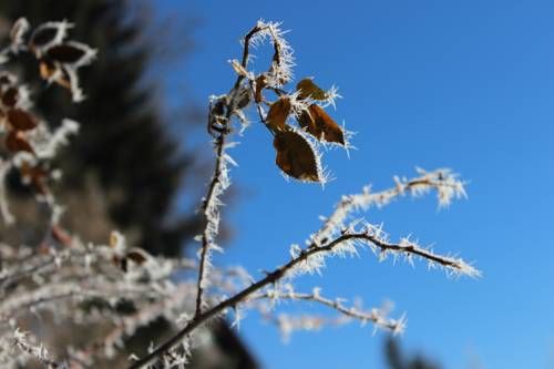 Outdoor Pictures 21