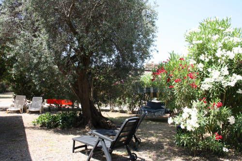 Outdoor Pictures 21