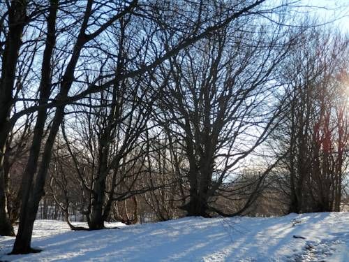 Outdoor Pictures 22