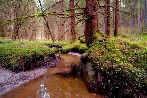 Outdoor Pictures 23