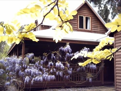 Outdoor Pictures 17