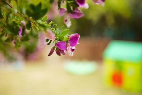 Outdoor Pictures 15