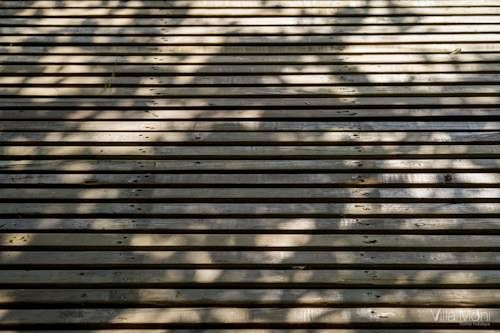 Outdoor Pictures 17