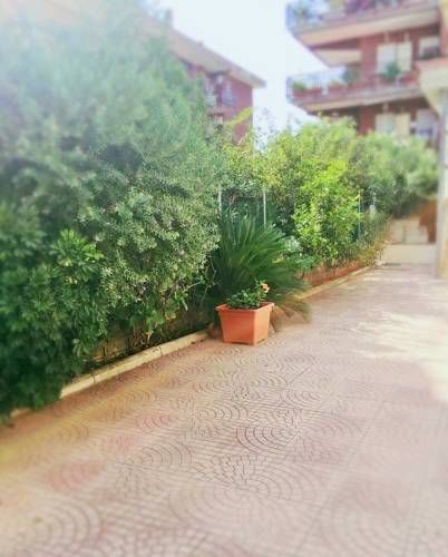 Outdoor Pictures 20