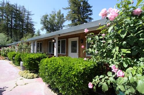 The Woods Hotel and Cabins