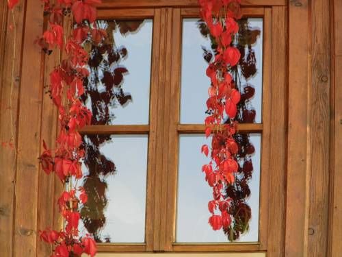 Outdoor Pictures 16