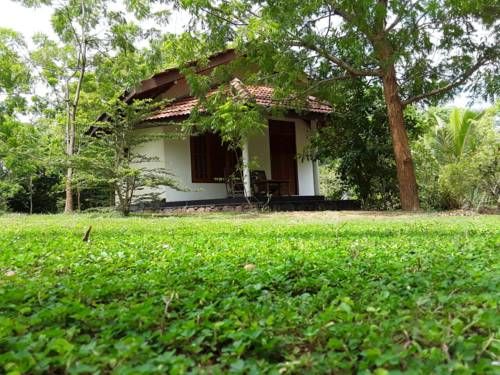 Outdoor Pictures 24