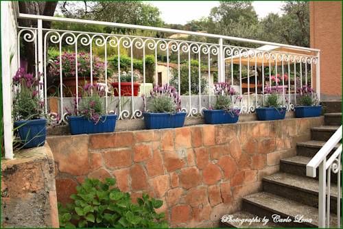 Outdoor Pictures 21