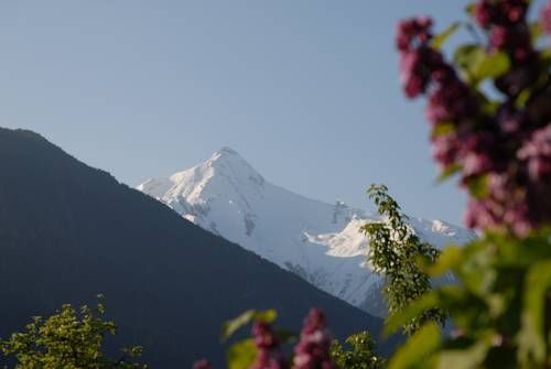 Outdoor Pictures 20