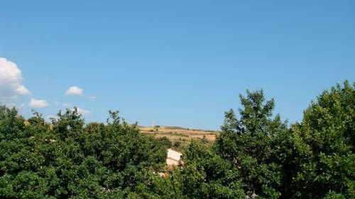 Outdoor Pictures 23
