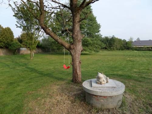 Outdoor Pictures 17