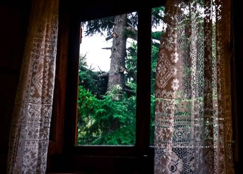 Outdoor Pictures 19