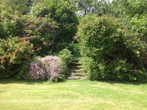 Outdoor Pictures 11