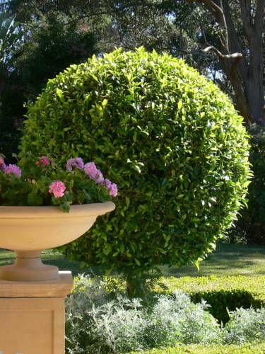 Outdoor Pictures 16