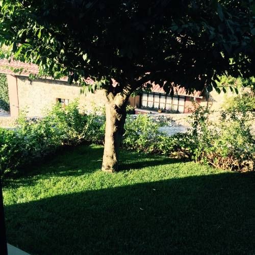Outdoor Pictures 19