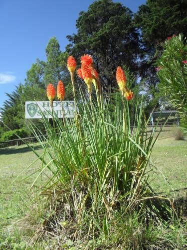 Outdoor Pictures 15