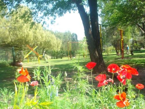 Outdoor Pictures 13