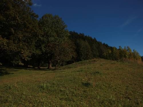 Outdoor Pictures 11