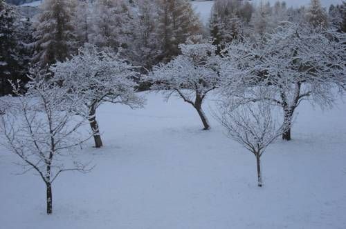 Outdoor Pictures 17