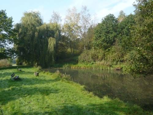 Outdoor Pictures 19
