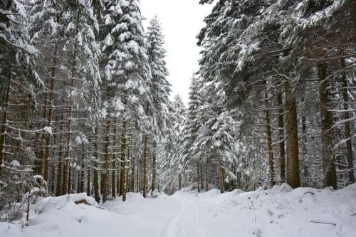 Outdoor Pictures 21