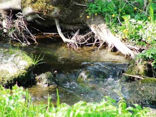 Outdoor Pictures 20