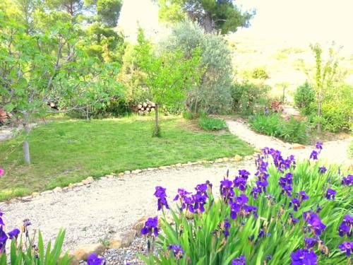 Outdoor Pictures 17
