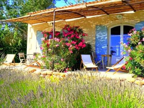 Outdoor Pictures 24