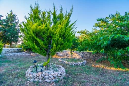 Outdoor Pictures 20
