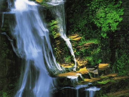 Outdoor Pictures 15