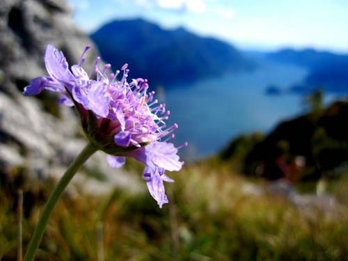 Outdoor Pictures 16