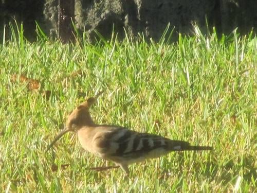 Outdoor Pictures 16