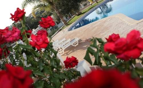 Outdoor Pictures 15