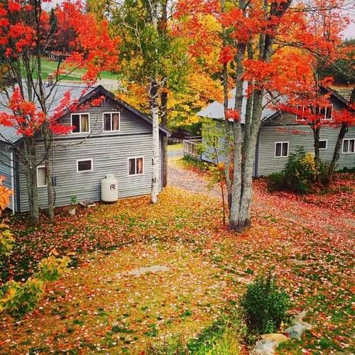 Outdoor Pictures 24