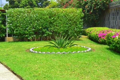 Outdoor Pictures 20