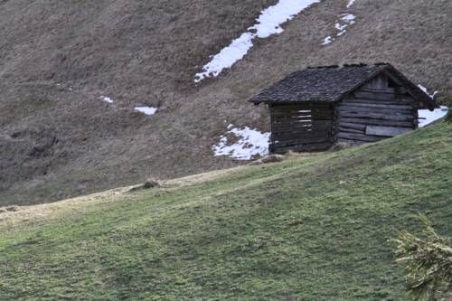 Outdoor Pictures 19