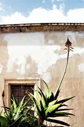 Outdoor Pictures 23