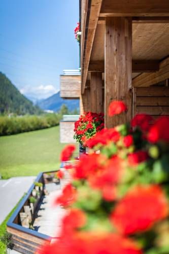 Outdoor Pictures 19