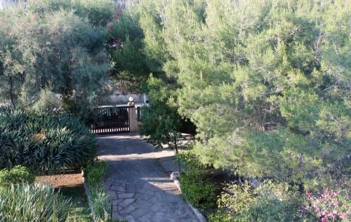 Outdoor Pictures 17