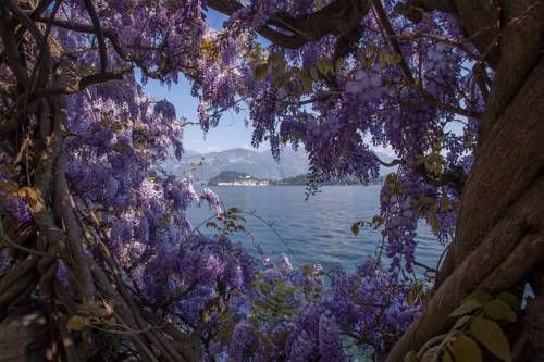 Outdoor Pictures 20