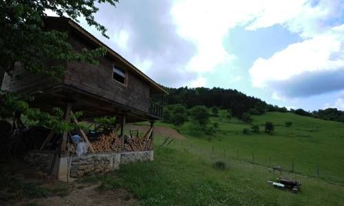 Outdoor Pictures 23